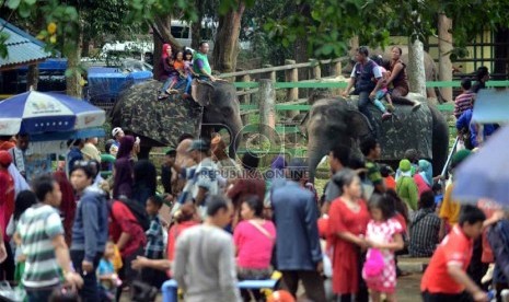   Pengunjung menaiki gajah saat berlibur di Taman Margasatwa Ragunan (TMR), Jakarta Selatan, Jumat (9/8). (Republika/Agung Supriyanto)