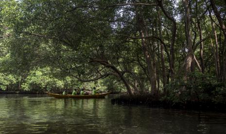 Pengunjung menaiki perahu saat menyusuri Hutan Mangrove di Taman Wisata Alam Mangrove Angke Kapuk, Jakarta, (ilustrasi)