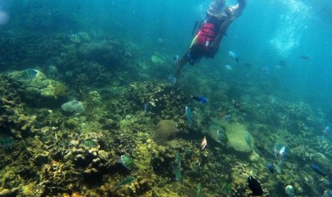 Pengunjung menikmati suasana bawah laut Pantai Beach Club di Tanjung Lesung ,Pandeglang, Banten, Selasa (26/9). 