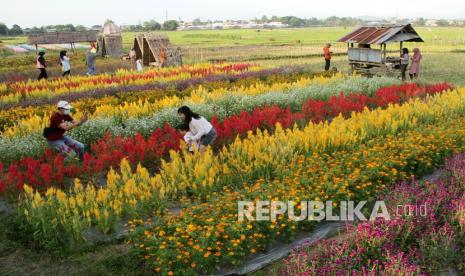 Pengunjung menikmati suasana kebun bunga di objek wisata Rainbow Garden di Kabupaten Gowa, Sulawesi Selatan, Sabtu (18/9/2021). Objek wisata alternatif tersebut mulai dikunjungi wisatawan saat libur akhir pekan seiring penurunan level penerapan Pemberlakuan Pembatasan Kegiatan Masyarakat (PPKM) dari level 3 jadi level 2 sebagai upaya penanganan pandemi COVID-19 di daerah itu. 