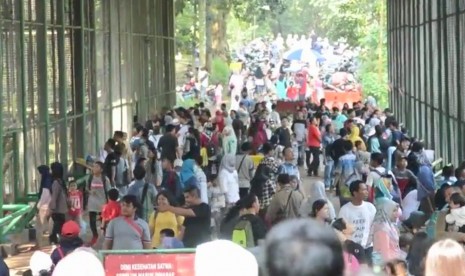 Pengunjung Taman Marga Satwa Ragunan, Sabtu (16/6)