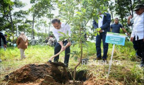 Penjabat Gubernur Jabar Bey Machmudin menanam pohon buah di kawasan Cikanyere, Desa Pakuon, Kecamatan Sukaresmi, Kabupaten Cianjur, Kamis (2/1/2025).