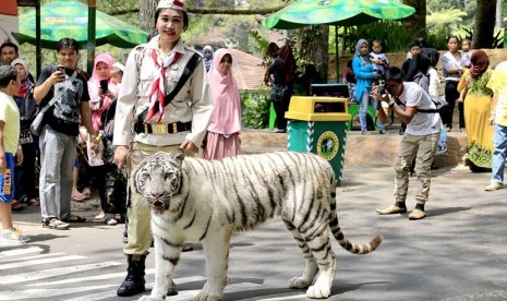 Penjaga satwa mengenakan seragam pejuang.