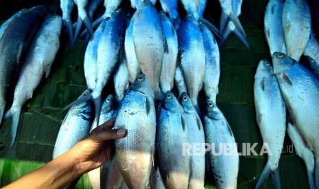 Penjual melayani pembeli ikan bandeng di Rawa Belong, Jakarta. Menjelang Perayaan Imlek pedagang bandeng musiman mulai menjamur.