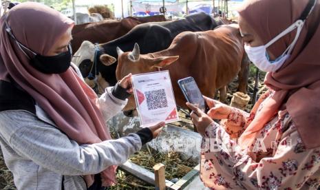 Pasar Tradisional Surabaya Mulai Terapkan Pembayaran Digital. Penjual melayani pembeli melakukan pembayaran digital via QRIS saat pembelian hewan di kawasan pasar kurban Merr Surabaya, Jawa Timur, Kamis (15/7/2021). Penjual hewan kurban menawarkan secara digital dengan aplikasi ternaknesia untuk pembelian hewan kurban dan belanja ke kandang dengan teknologi Virtual Reality (VR) selama masa Pemberlakuan Pembatasan Kegiatan Masyarakat (PPKM) Darurat. 