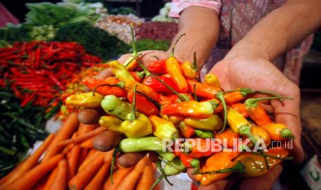 Penjual menunjukkan cabai rawit 