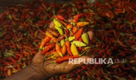 Penjual menyortir cabai rawit merah di Pasar Agung, Depok, Jawa Barat. Jelang Bulan Suci Ramadhan, Harga Cabai dan Telur di Depok Naik