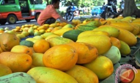 Penjual penjual timun suri di Bogor