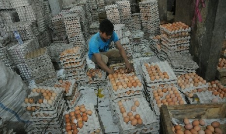 Penjual telur merapikan dagangannya.