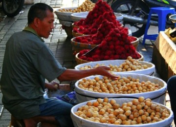 Penjual buah duku dan rambutan 