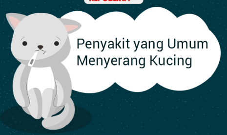 Penyakit yang umumnya menyerang kucing