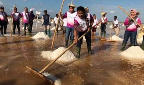 Penyaluran KUR untuk pertama kali kepada petani garam ini dilaksanakan secara simbolisasi bersamaan dengan acara Panen Raya Garam Rakyat mitra PT Garam di Desa Bipolo, Kecamatan Sulamu, Kabupaten Kupang, Nusa Tenggara Timur (NTT), Selasa (14/8). 