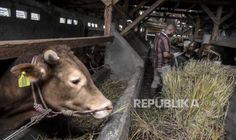 Penyaluran kurban di wilayah  terdepan, terpencil dan tertinggal (3T) harus dimaksimalkan