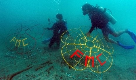 Penyelam dari komunitas Find My Coral (FMC) Bengkulu menyusun wadah substrat terumbu karang di bawah laut Desa Malakoni, Pulau Enggano, Bengkulu Utara.