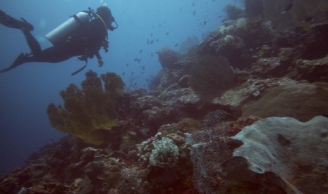 Penyelam menyusuri titik selam Secret Garden, Pulau Wangi-Wangi, Taman Nasional Sulawesi Tenggara, Kamis (21/9).