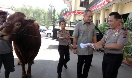 Penyerahan sapi limosin dari MNC Peduli ke Polda Banten