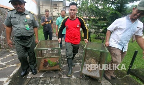 Petugas Balai Besar Konservasi Sumber Daya Alam (BBKSDA) mengevakuasi burung nuri bayan dan landak jawa. (Ilustrasi)