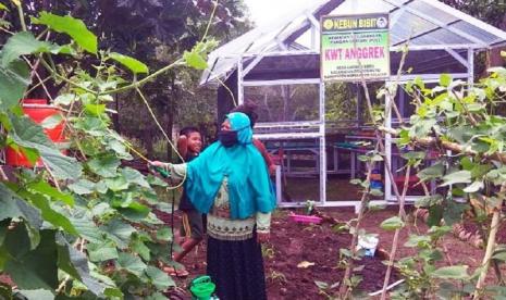 Penyuluh mengembangkan demonstration plotting (Demplot) budidaya sayuran semi organik sebelum menerapkannya pada lahan pekarangan petani maupun milik warga setempat (ilustrasi).