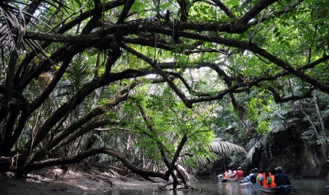 Perahu menelusuri Sungai Cigenter yang menjadi salah satu akses menuju padang gembalaan Cidaon. Ranger Taman Nasional Ujung Kulon, Banten, melihat kucing besar yang diduga harimau Jawa. Penemuan ini menghebohkan karena harimau jawa sudah dinyatakan punah.