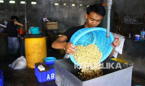 Perajin membuat tahu dari kedelai impor di Mulyorejo, Malang, Jawa Timur, Jumat (18/2/2022). Perajin tahu setempat kembali memperkecil ukuran tahu dan menjual ampas tahu sebagai pakan ternak untuk mengurangi kerugian akibat lonjakan harga kedelai impor yang mencapai kisaran Rp10.800 per kilogram.