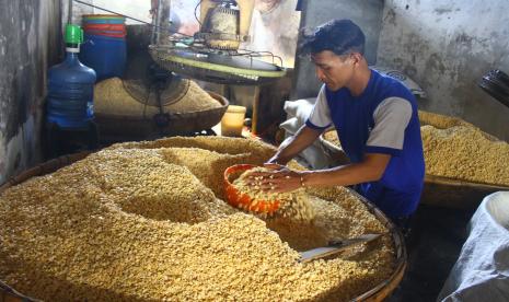 Perajin membuat tempe berbahan baku kedelai impor yang kini harganya naik dari Rp9.600 menjadi Rp10.300 per kilogram di sentra perajin tempe di Sanan, Malang, Jawa Timur, Selasa (11/1/2022). Dinas Koperasi, Industri dan Perdagangan (Kadiskopindag) Kota Malang mendorong pemerintah pusat bisa memberikan subsidi untuk harga kedelai.