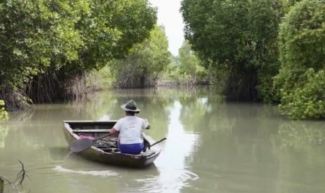 Perempuan nelayan kepiting di Purworejo, Demak