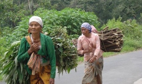 Perempuan tua dari Suku Tengger membawa kayu bakar dan makanan ternak di kaki Gunung Bromo, Jawa Timur.