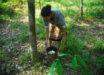 Perempuan pekerja