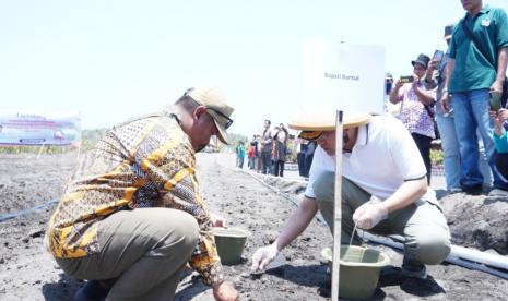 Peresmian pembukaan lahan pertanian bawang merah elektrifikasi di Bantul, DIY.