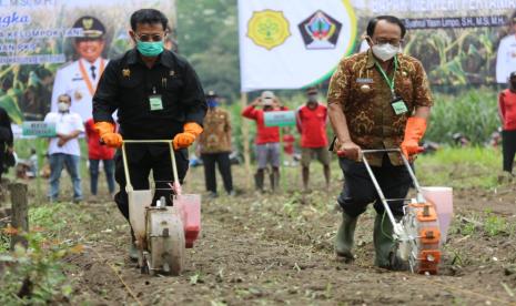 Peringatan Hari Ulang Tahun (HUT) ke 75 Kemerdekaan RI merupakan momentum yang tepat untuk menjadikan sektor pertanian sebagai garda terdepan pertahanan negara dan mengenal program terobosan Kementerian Pertanian (Kementan) sehingga menjadi benteng utama pertahanan negara.