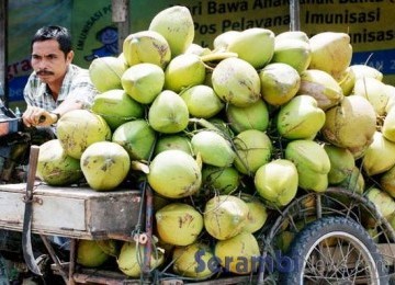 Permintaan buah kelapa meningkat tajam di bulan puasa Ramadhan. (ilustrasi)