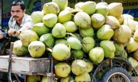 Buah kelapa.