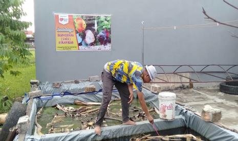 Persaingan yang cukup tinggi dan kebiasaan baru masyarakat menjadi peluang tersendiri bagi para pelaku usaha. Jika sebelum masa pandemi Covid-19 bisnis ikan cupang atau ikan hias tidak begitu diminati, namun sekarang usaha budidaya ini sedang naik daun karena permintaan cukup tinggi.