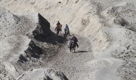 Persewaan Kuda di jalan berpasir Gunung Bromo