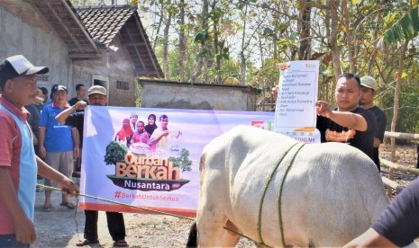 Persiapan pemotongan hewan kurban BMH dalam program Qurban Berkah Nusantara di Padukuhan Nitikan,  Timur Semanu,  Gunung Kidul, Yogyakarta.