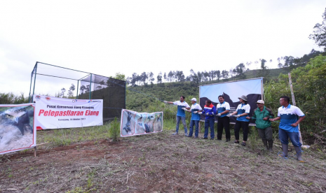 Pertamina bersama Pusat Konservasi Elang Kamojang (PKEK), melepasliarkan dua elang jenis elang ular ke alam bebas setelah satu tahun menjalani rehabilitasi.