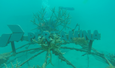 Pertamina dan relawan pecinta lingkungan menginisiasi program taman bawah laut.