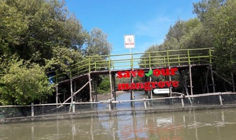 Program CSR Pertamina yang mendampingi kelompok Pantai Lestari dalam pengelolaan kawasan Ekowisata Mangrove Center Karangsong. (ilustrasi)