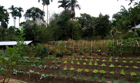 Pertanian organik di Sumatra Barat