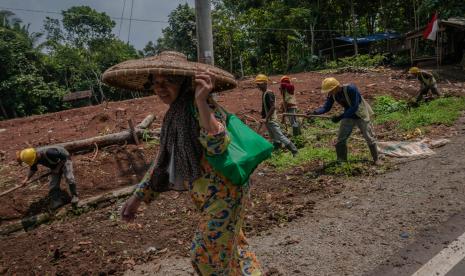 Peserta program padat karya membersihkan rumput di bahu jalan. 