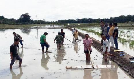 Peserta SL IPDMIP yang terdiri dari 30 orang dari Kelompok Tani (Poktan) Bandar Jaya, memanfaatkan laboratorium lapangan sebagai wadah pembelajaran seluas 0,1 hektar dengan menanam varietas Inpari 32.