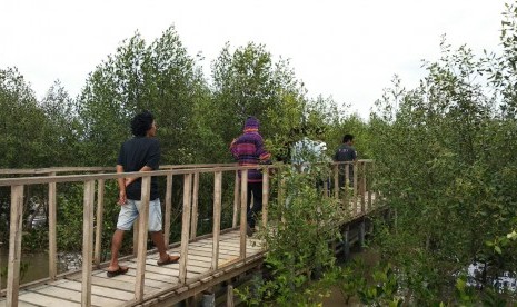 Pesona ekowisata hutan mangrove ilustrasi