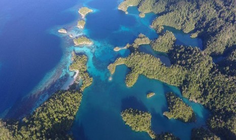 Pesona Laut Halmahera Selatan menjadi spot diving terbaik di Indonesia