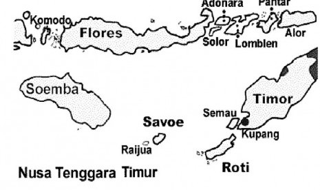 Peta Nusa Tenggara Timur dan Pulau Solor berada di gugusan pulau sebelah utara Pulau Timor.