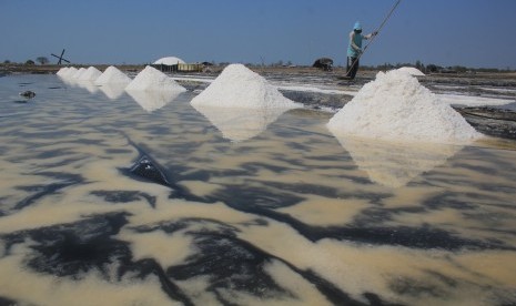 Petambak memanen garam di desa Tanjakan, Krangkeng, Indramayu, Jawa Barat, Rabu (10/7/2019). P