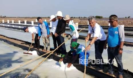 Petambak sedang panen garam di Desa Ciparage Jaya, Kecamatan Tempuran, Karawang.