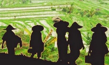 Petani