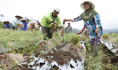 petani