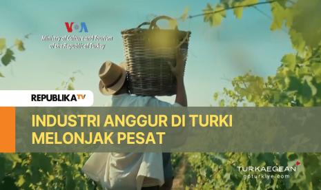 Petani anggur di Turki