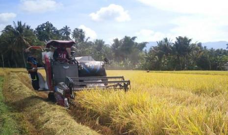 Petani Banten surplus padi saat panen raya.